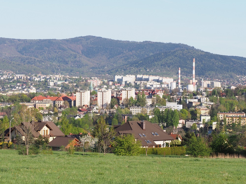 Widok na podmiejską zabudowę jednorodzinną, za którą widać miasto